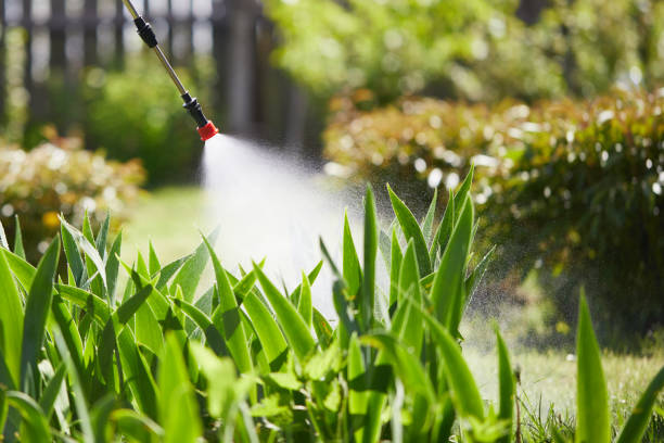 24/7 Emergency Fumigation Services experts in New Holstein, WI